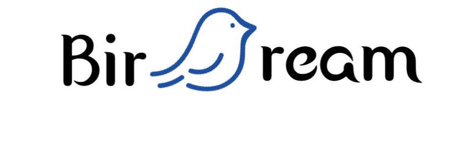 birdream